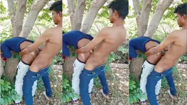 Hot Cousin Tree Sex – School Bunk Sex